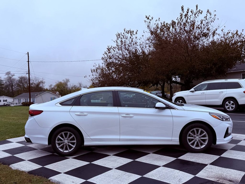 2019 Hyundai Sonata Image 8