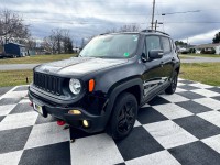 Image for 2017 Jeep Renegade Deserthawk ID: 7013341