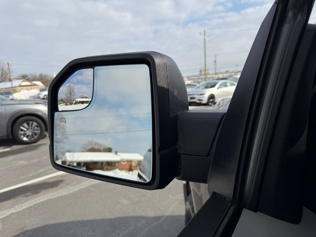 2017 Ford F-150 Image 11