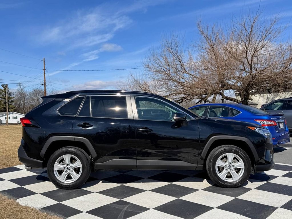 2019 Toyota Rav4 Image 8