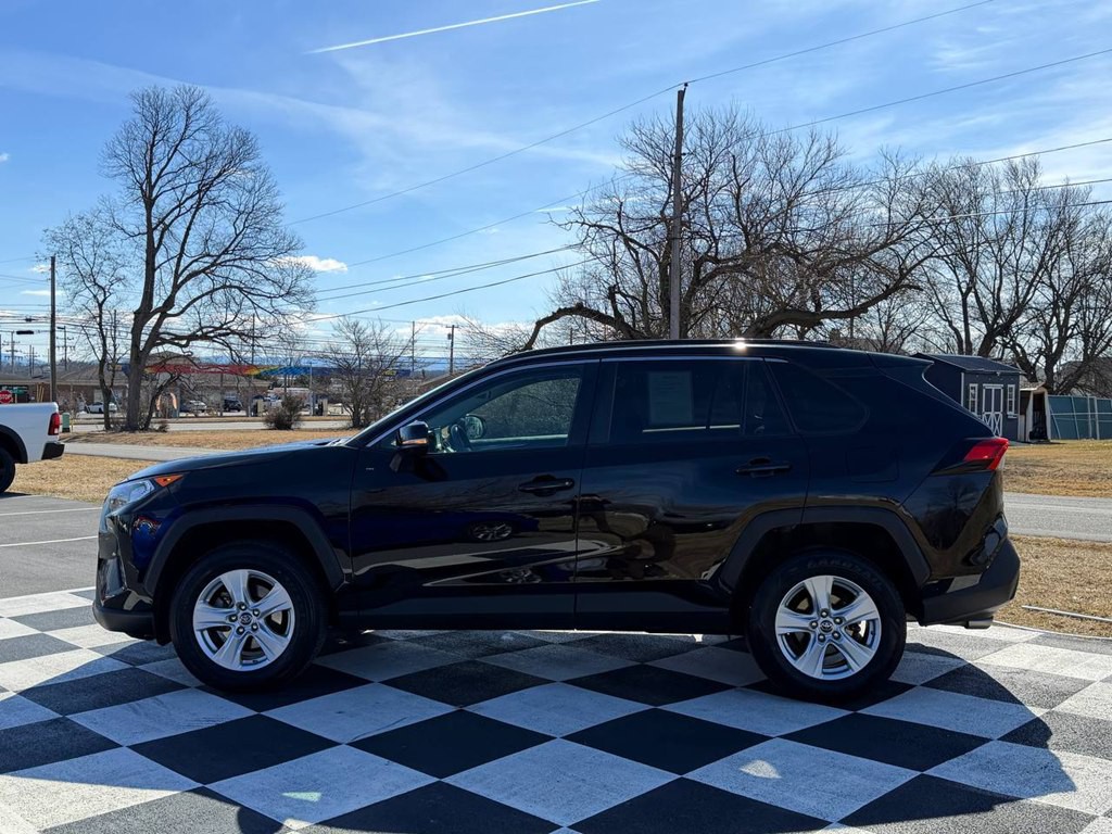 2019 Toyota Rav4 Image 9