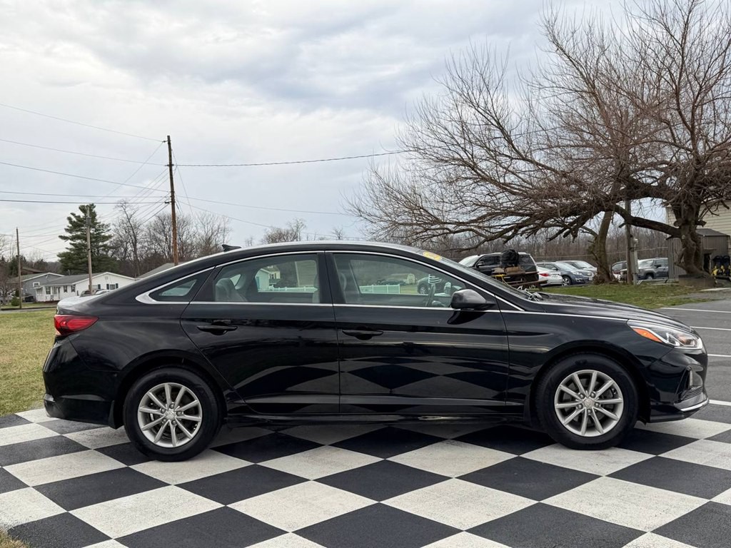 2019 Hyundai Sonata Image 8