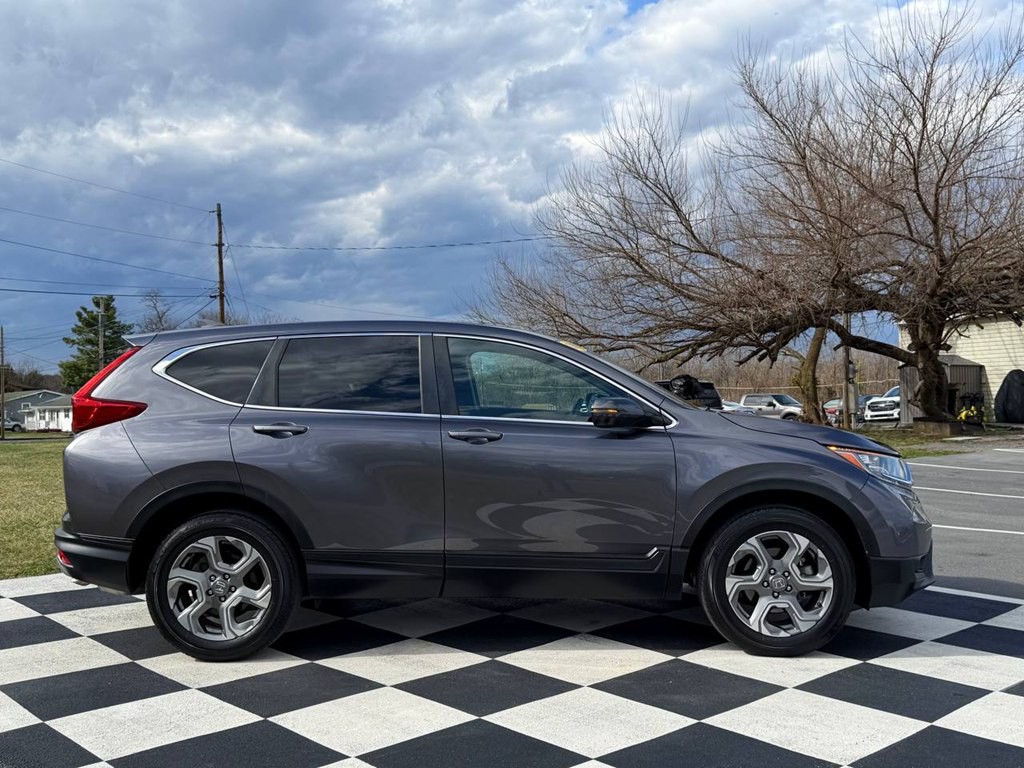2019 Honda CR-V Image 8