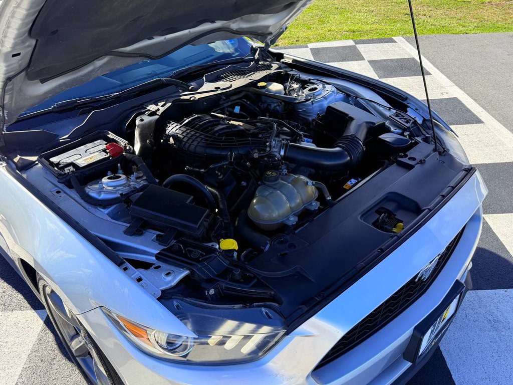 2015 Ford Mustang Image 36