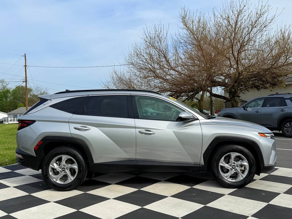 2024 Hyundai Tucson Image 8