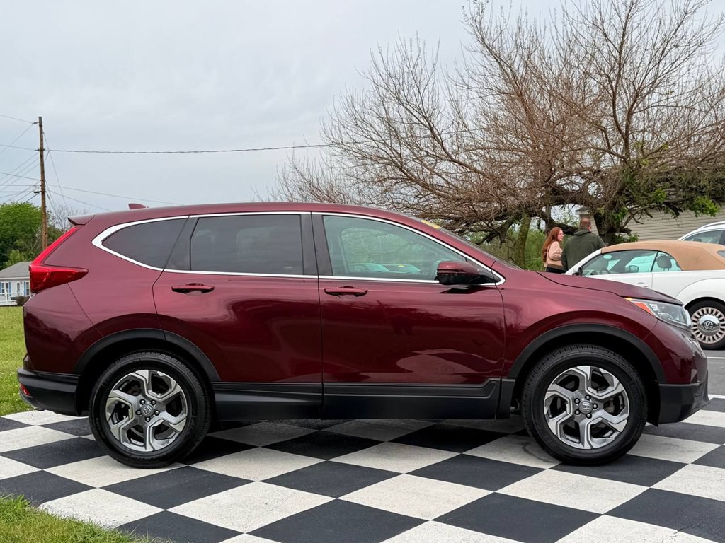 2019 Honda CR-V Image 8