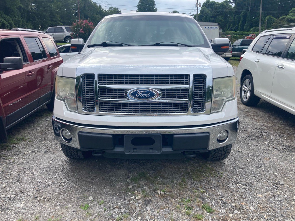 2010 Ford F-150 Image 2