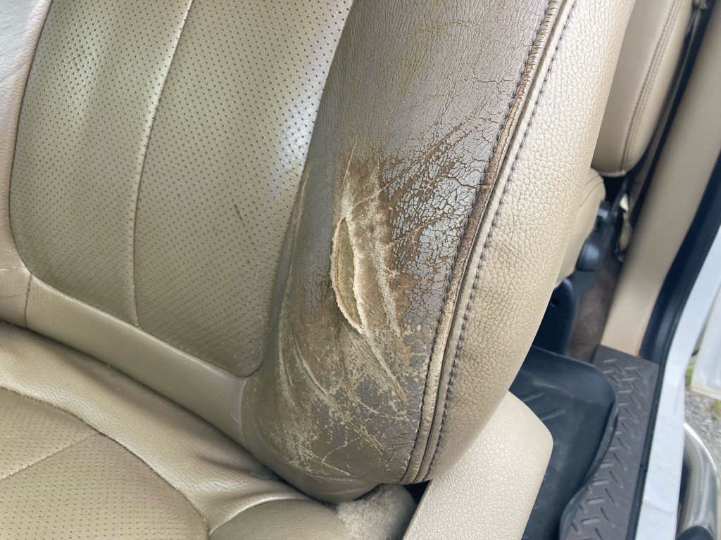 2010 Ford F-150 Image 21