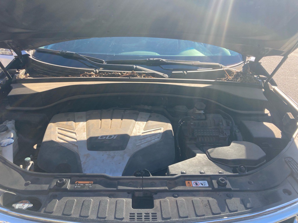 2015 Kia Sorento Image 9