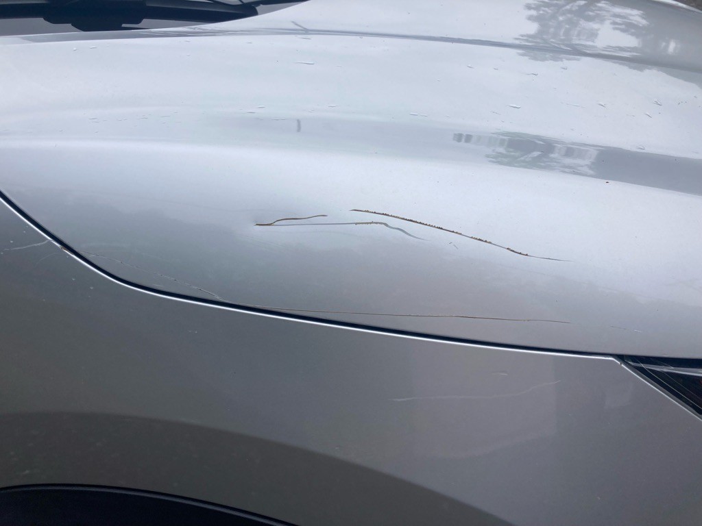 2019 Nissan Rogue Image 15