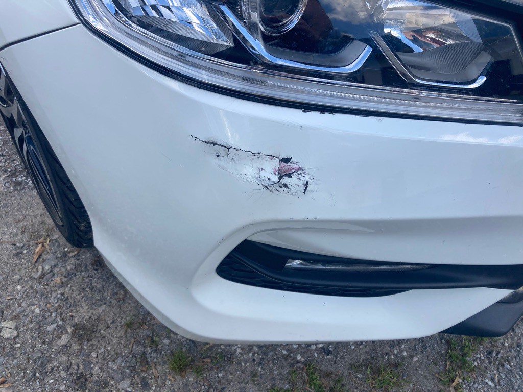 2017 Honda Accord Image 4