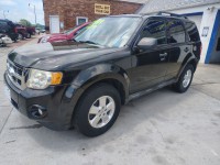 Image for 2011 Ford Escape XLT ID: 6739173