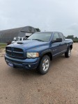 Image for 2003 Dodge Ram 1500 ST ID: 6808275