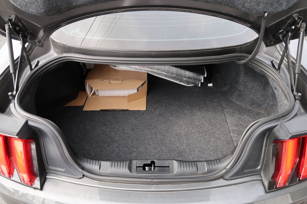 2019 Ford Mustang Image 11