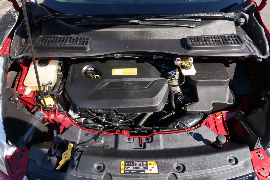 2014 Ford Escape Image 12