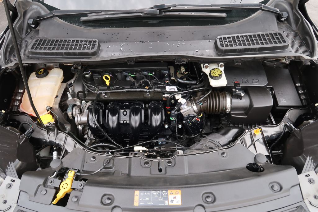 2016 Ford Escape Image 12