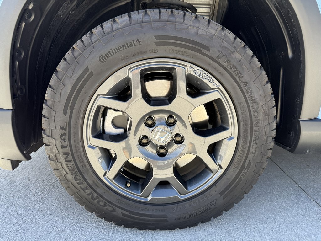 2025 Honda Pilot Image 11