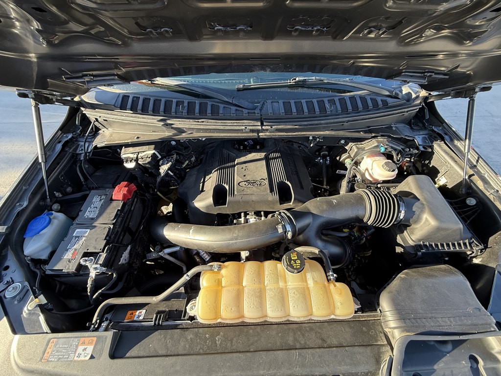 2019 Ford Expedition Image 4