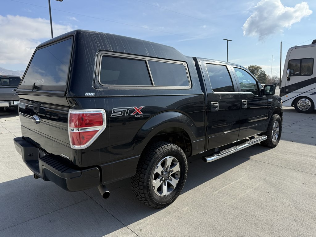 2014 Ford F-150 Image 3