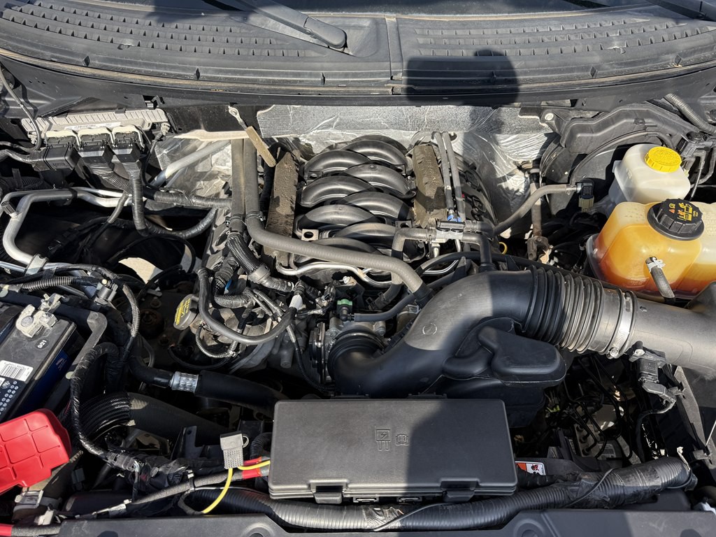 2014 Ford F-150 Image 13