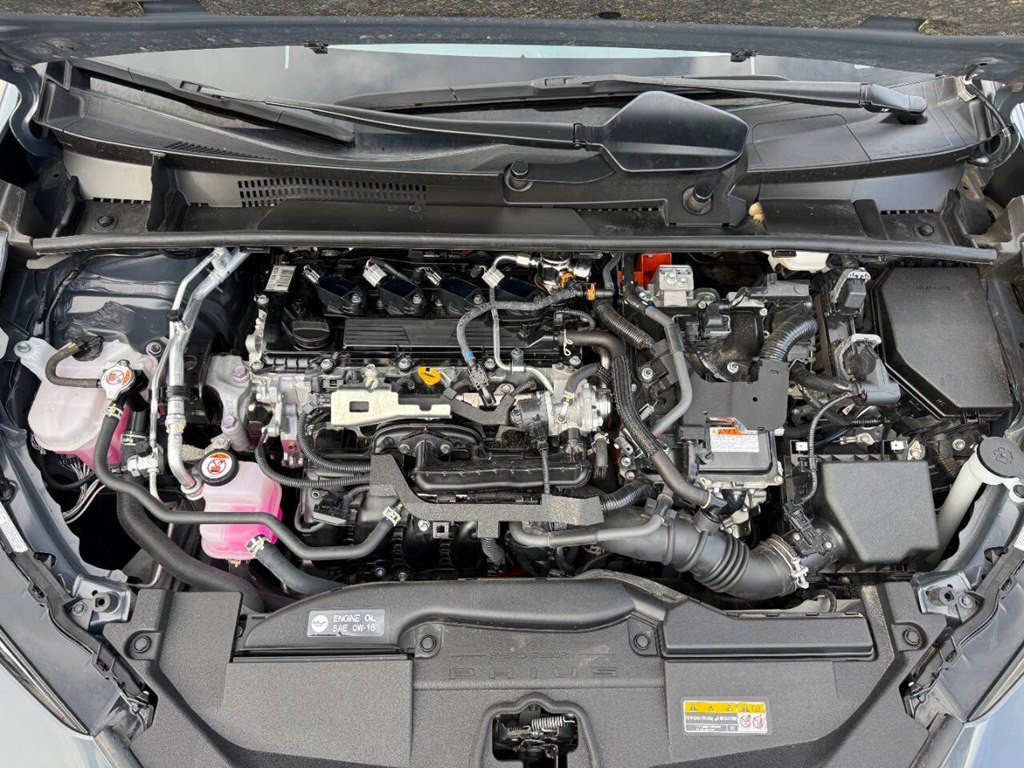 2024 Toyota Prius Image 14