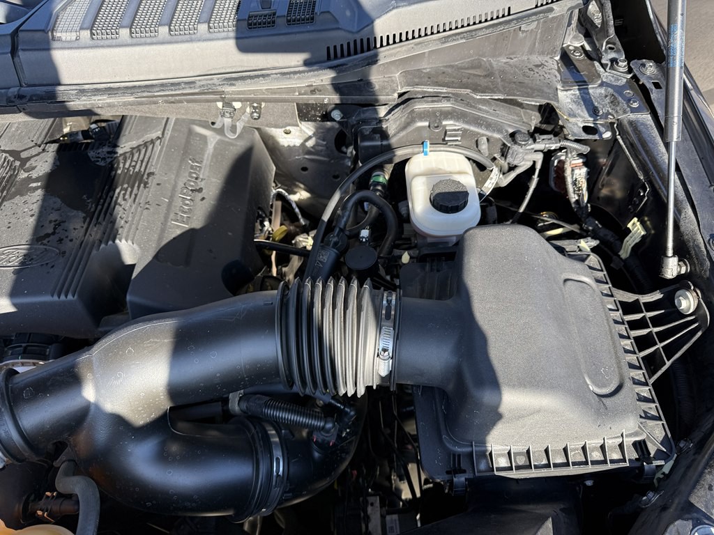 2020 Ford F-150 Image 12