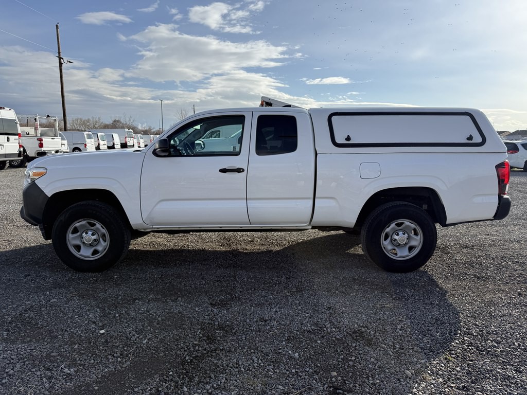 2019 Toyota Tacoma Image 6