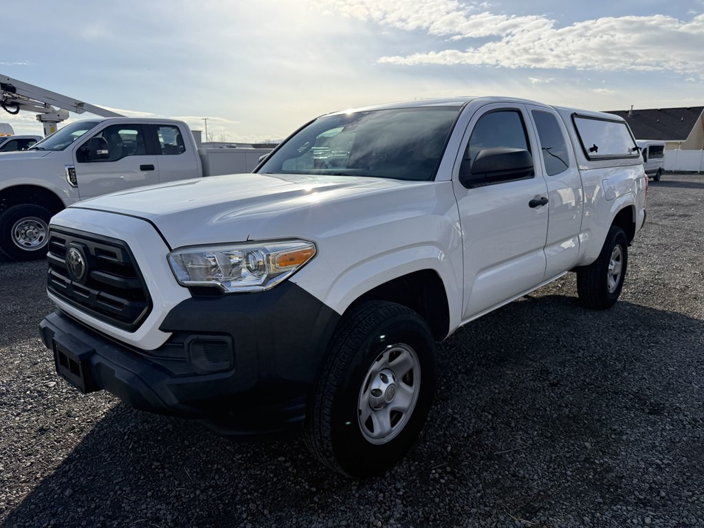 2019 Toyota Tacoma Image 7