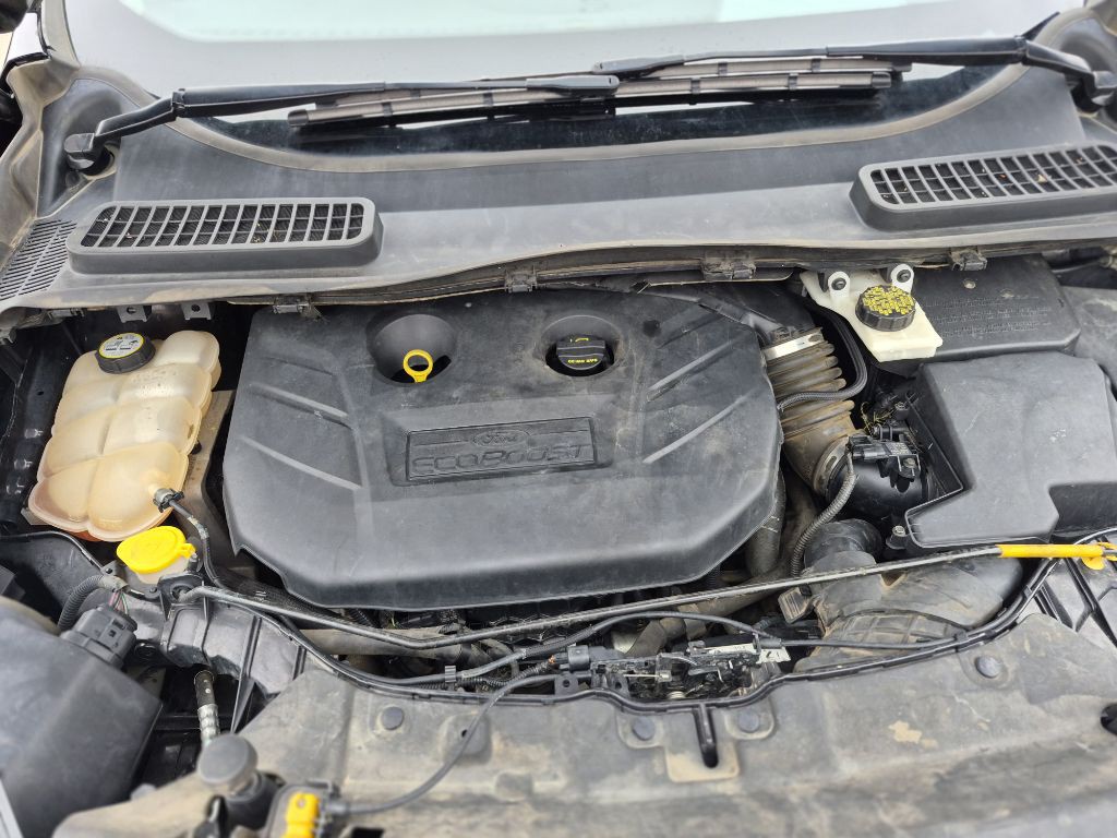 2013 Ford Escape Image 18