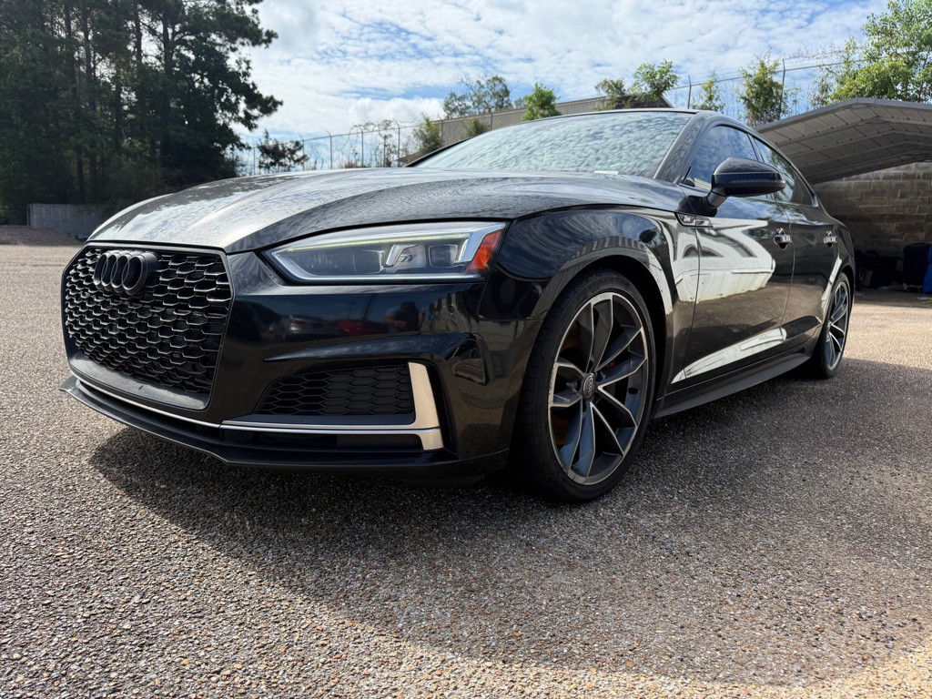 2019 Audi S5 Image 1