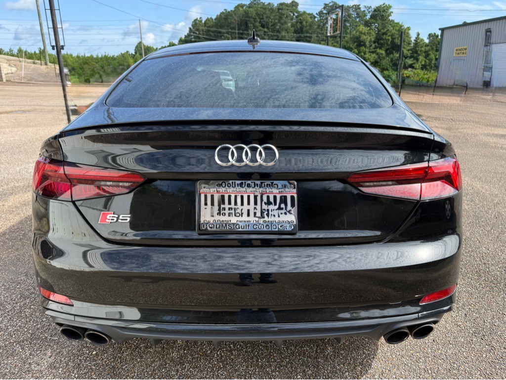 2019 Audi S5 Image 4