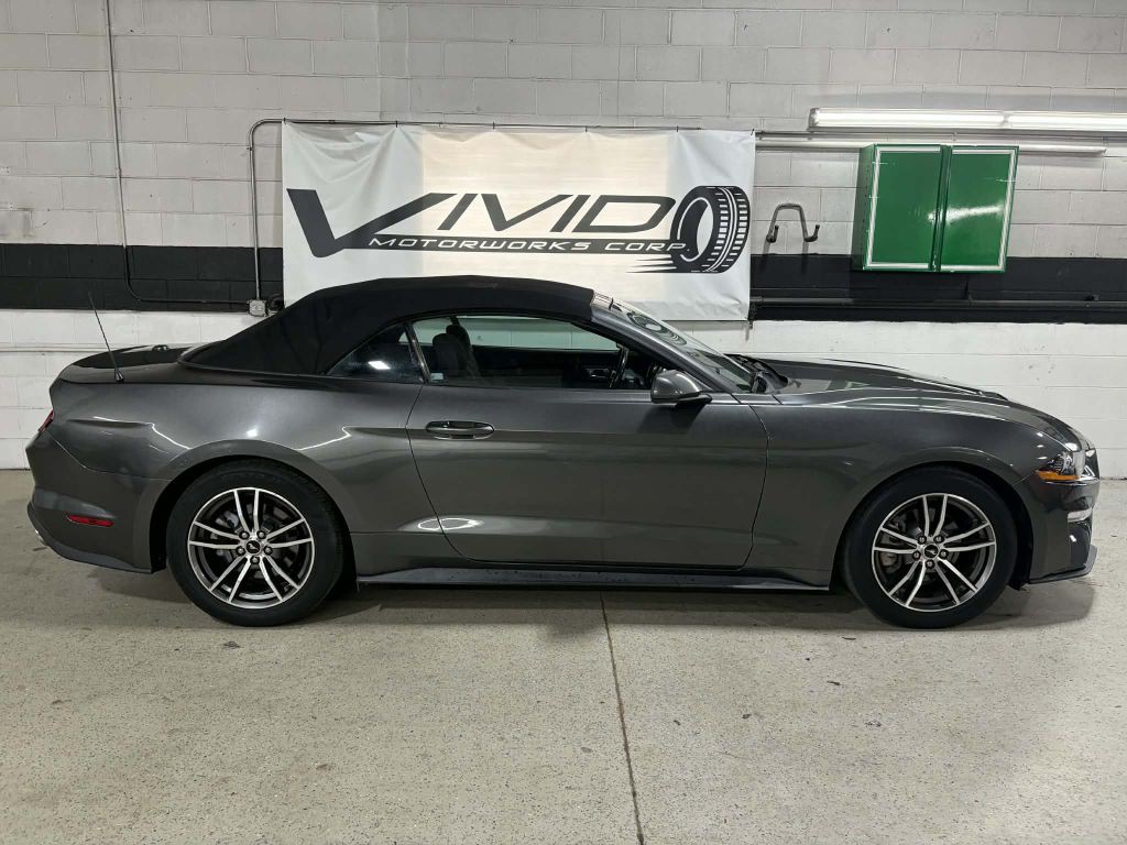 2019 Ford Mustang Image 5