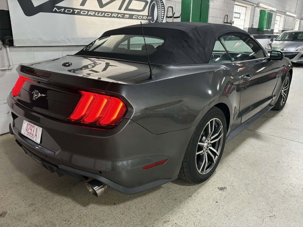 2019 Ford Mustang Image 6