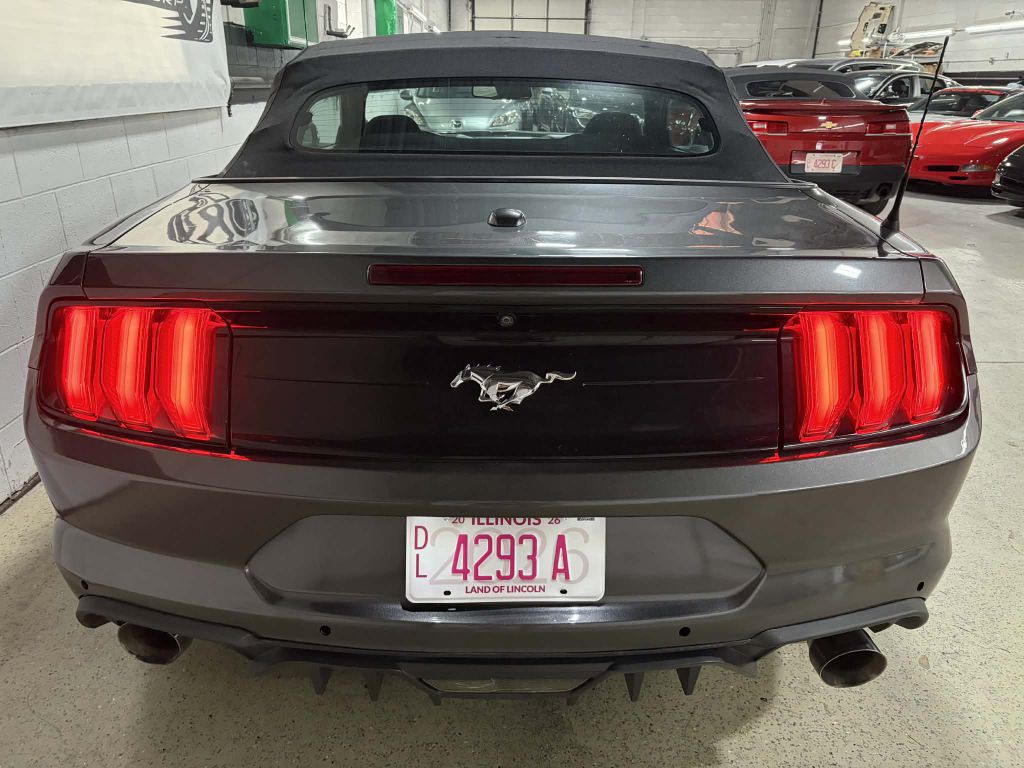 2019 Ford Mustang Image 7