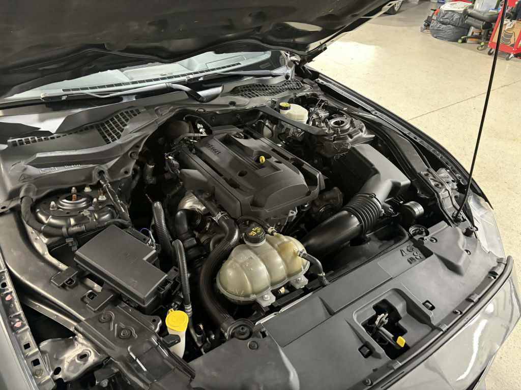 2019 Ford Mustang Image 13