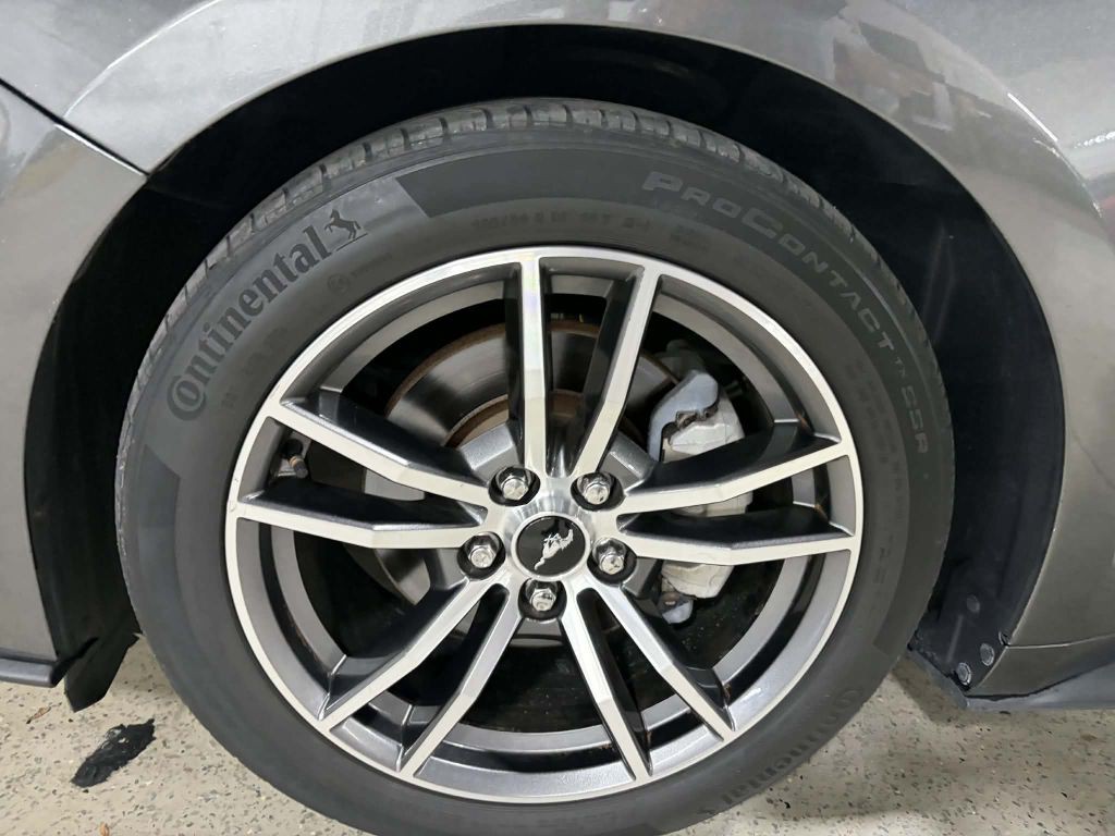 2019 Ford Mustang Image 14