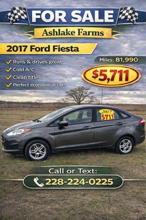2017 Ford Fiesta Image 1