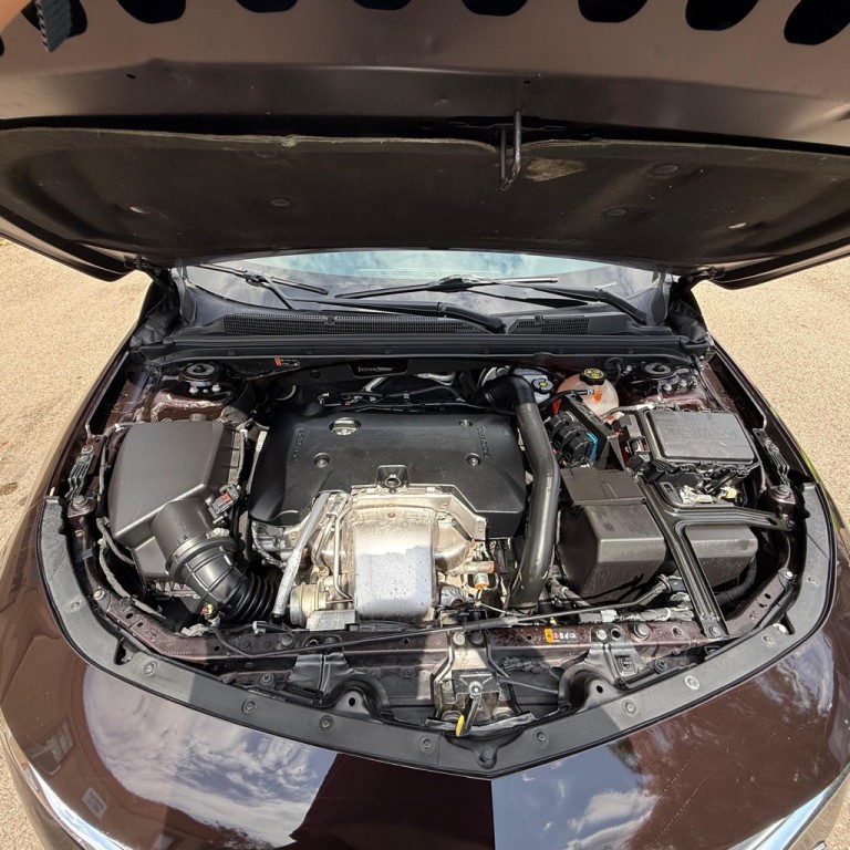 2020 Chevrolet Malibu Image 14