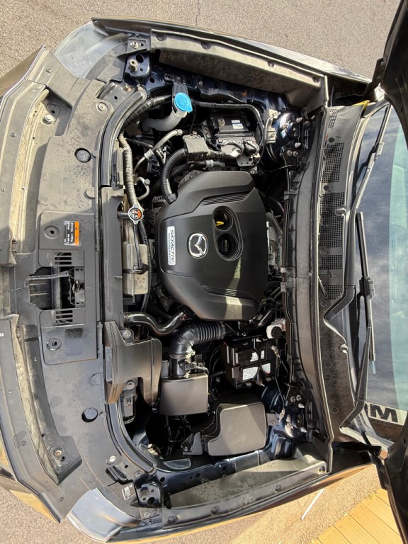 2019 Mazda CX-9 Image 19