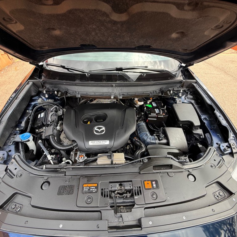 2019 Mazda CX-9 Image 19