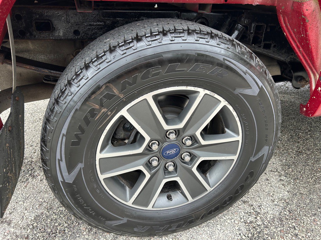 2015 Ford F-150 Image 11