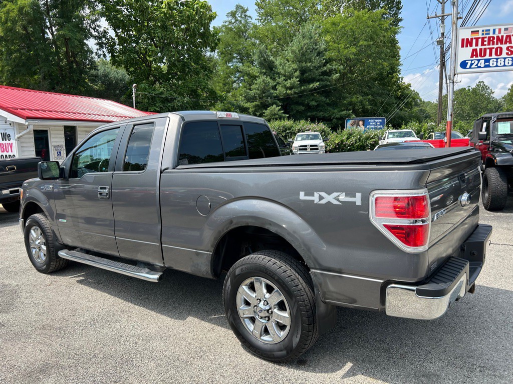 2013 Ford F-150 Image 3