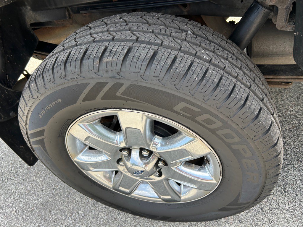 2013 Ford F-150 Image 11