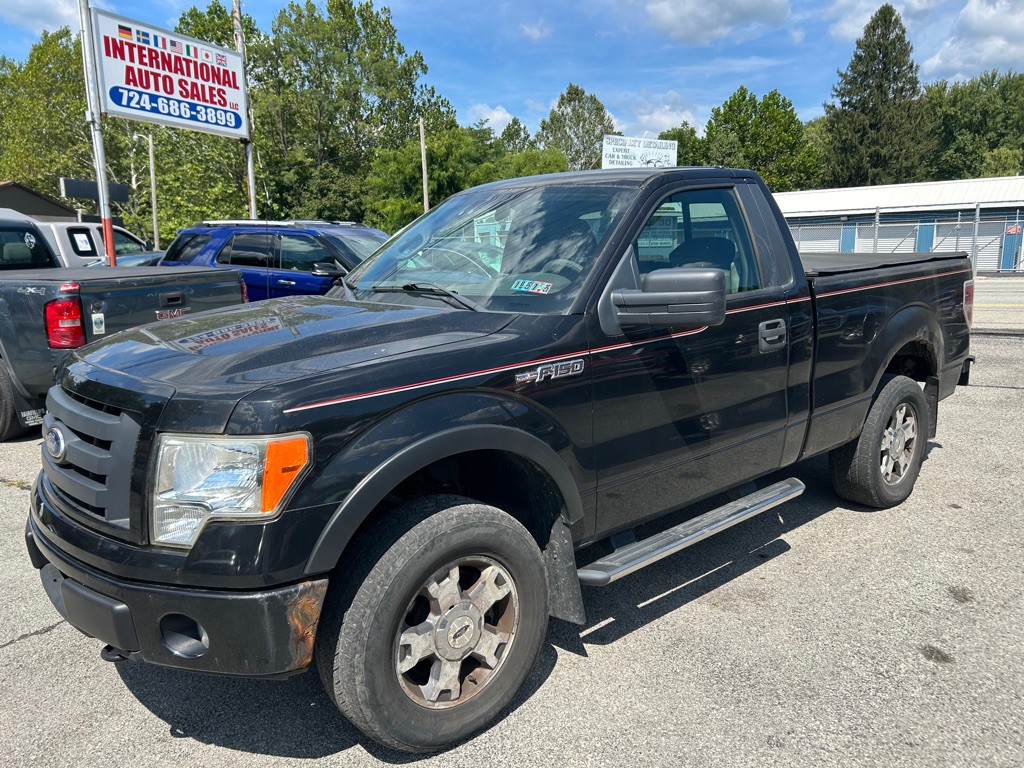 2010 Ford F-150 Image 1
