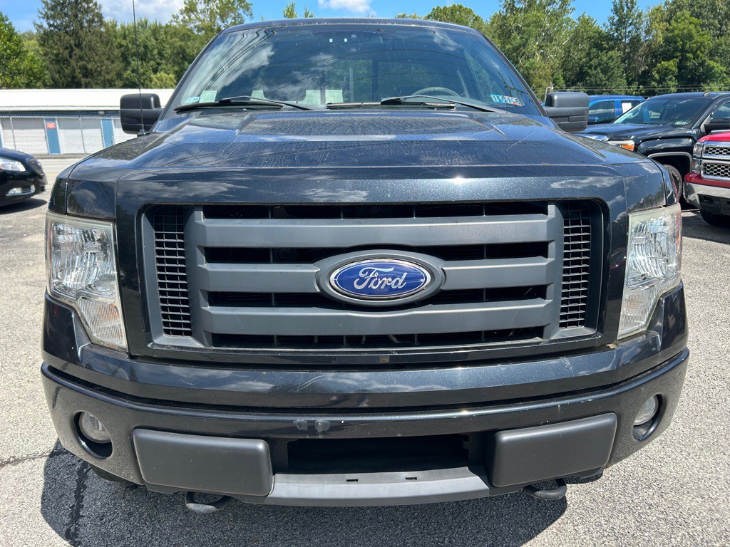 2010 Ford F-150 Image 2