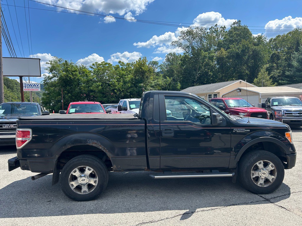 2010 Ford F-150 Image 4