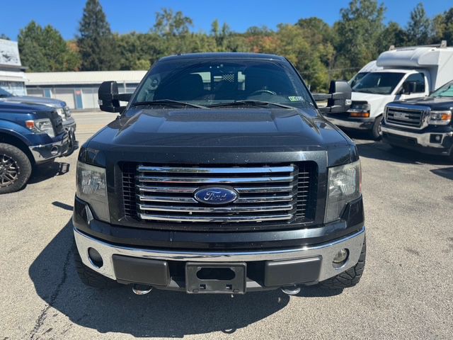 2012 Ford F-150 Image 4
