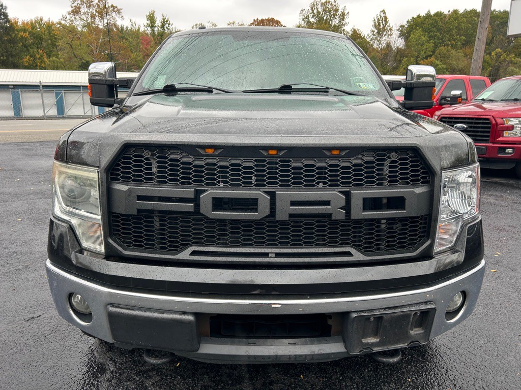 2013 Ford F-150 Image 3