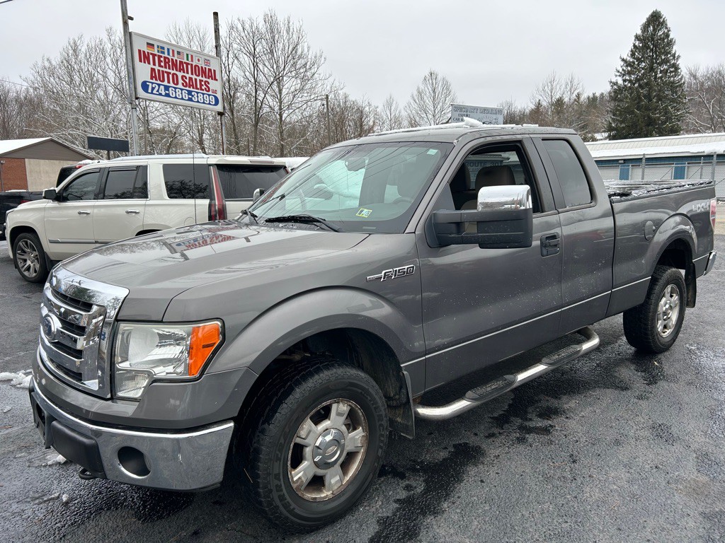 2010 Ford F-150 Image 1