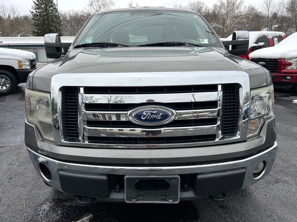 2010 Ford F-150 Image 2
